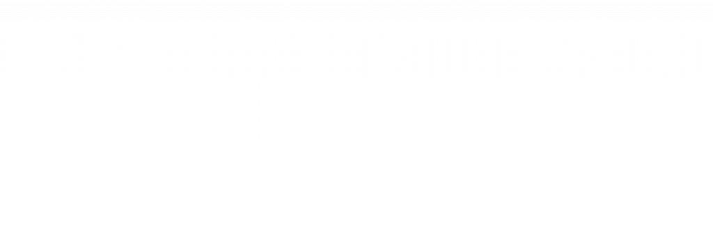 Logo Safefly
