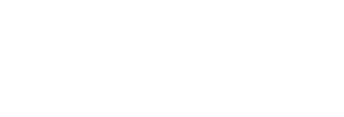 Logo Safefly